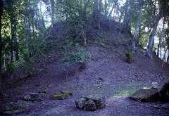 fb000575.jpg