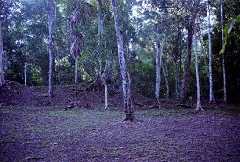 fb000577.jpg