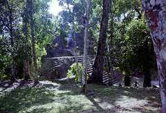 fb000596.jpg