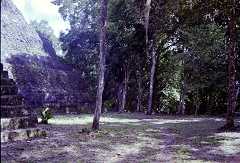 fb000598.jpg