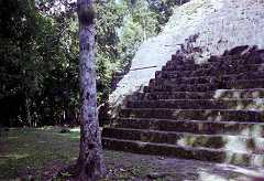 fb000600.jpg