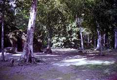 fb000601.jpg