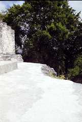 fb000654.jpg