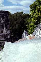fb000661.jpg