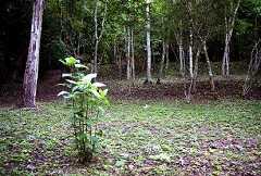fb000870.jpg