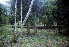 fb000872.jpg