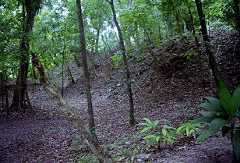 fb000875.jpg