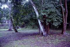 fb000942.jpg