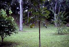 fb000945.jpg