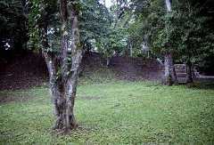 fb000947.jpg