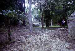 fb000957.jpg