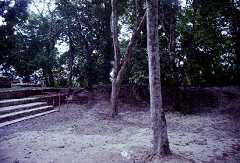 fb000961.jpg