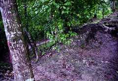 fb000981.jpg