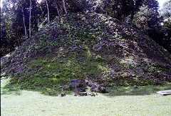 fb000993.jpg