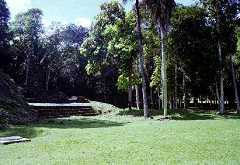 fb000994.jpg