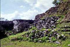 fb001010.jpg