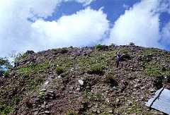 fb001012.jpg