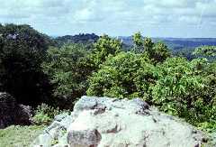 fb001026.jpg