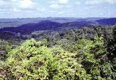 fb001028.jpg
