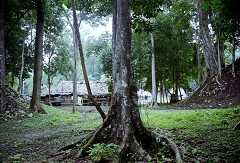 fb001133.jpg