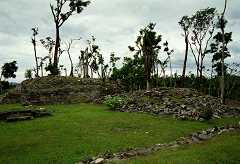 fc000099.jpg