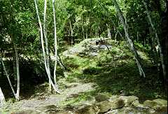 fc000238.jpg