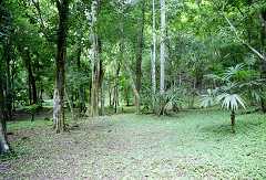 fc000322.jpg