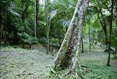fc000326.jpg