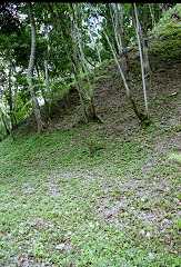 fc000335.jpg