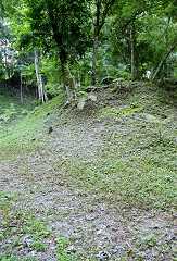fc000341.jpg