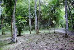 fc000343.jpg