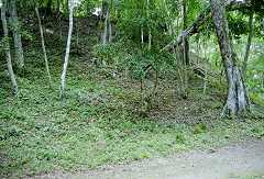 fc000345.jpg