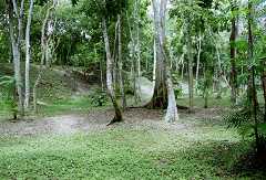 fc000347.jpg
