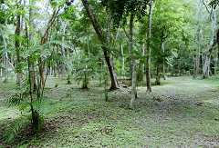 fc000348.jpg