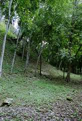 fc000360.jpg
