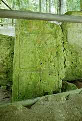 fc000444.jpg