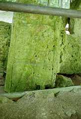 fc000445.jpg