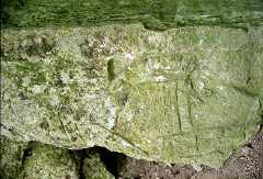 fc000451.jpg