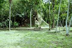 fc000483.jpg
