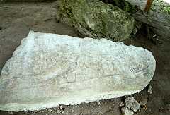 fc000487.jpg