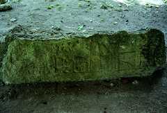 fc000489.jpg