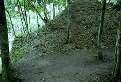 fc000505.jpg