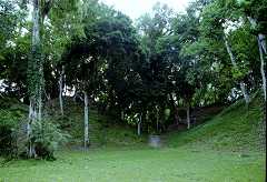fc000509.jpg