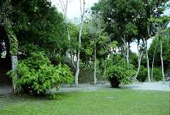 fc000512.jpg