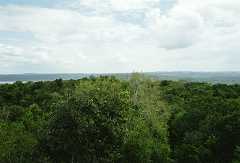 fc000524.jpg