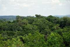 fc000525.jpg