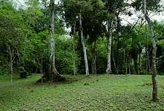 fc000535.jpg