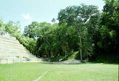 fc000584.jpg