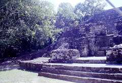 ff000124.jpg