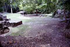 ff000155.jpg